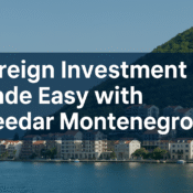 Meedar Montenegro