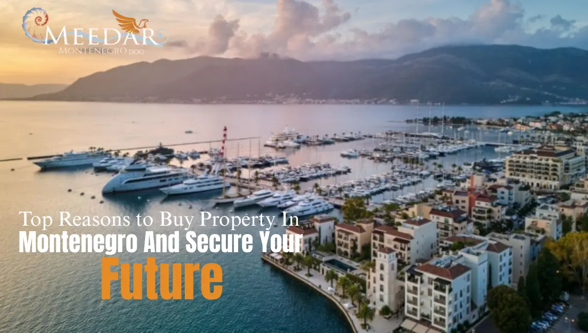 Buy Property in Montenegro