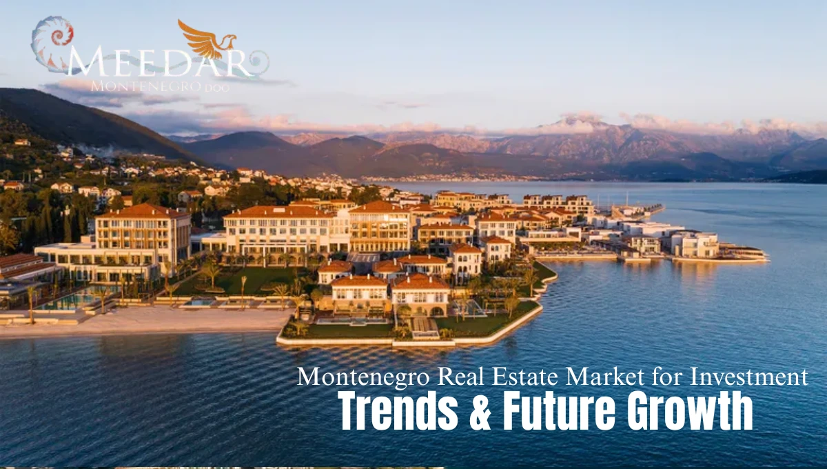 Montenegro Real Estate