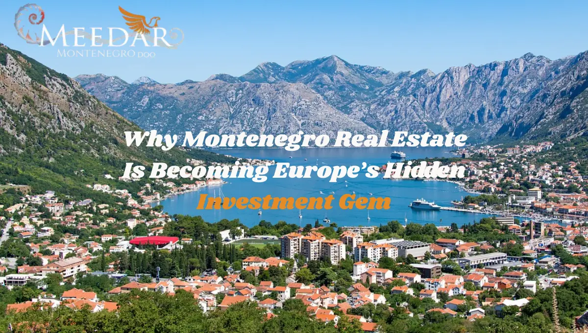 Montenegro Real Estate