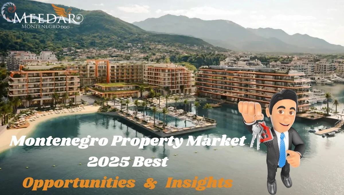 Montenegro Property Market