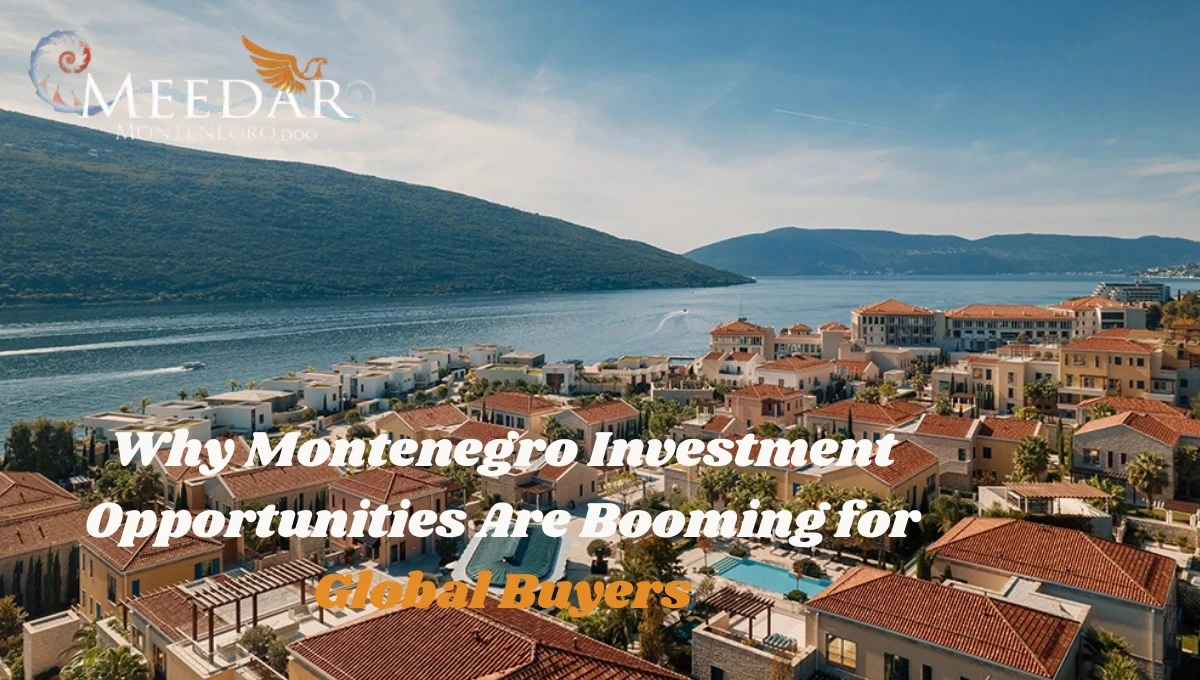 montenegro investment opportunities