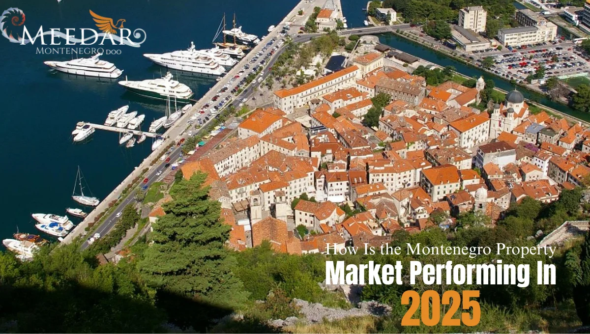 Montenegro Property Market