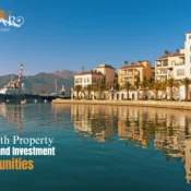 property development and investment