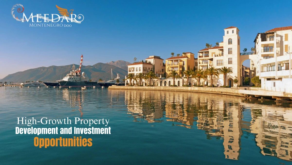 property development and investment