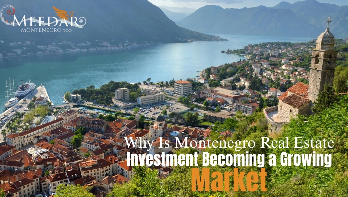 Montenegro Real Estate