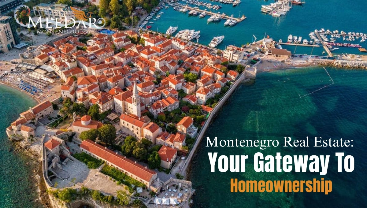 Montenegro Real Estate