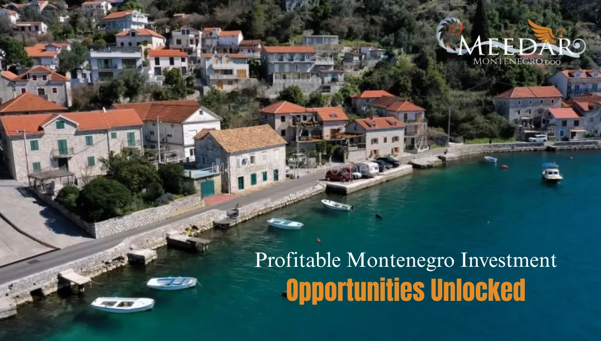 montenegro investment opportunities