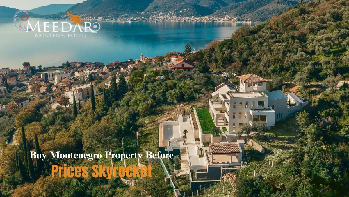 montenegro property